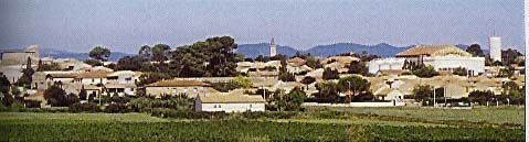 Puimisson